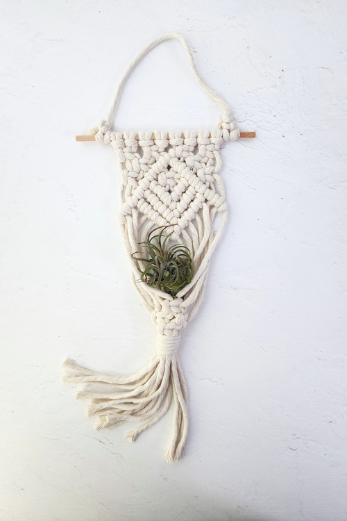 Macrame Air Plant Hanger