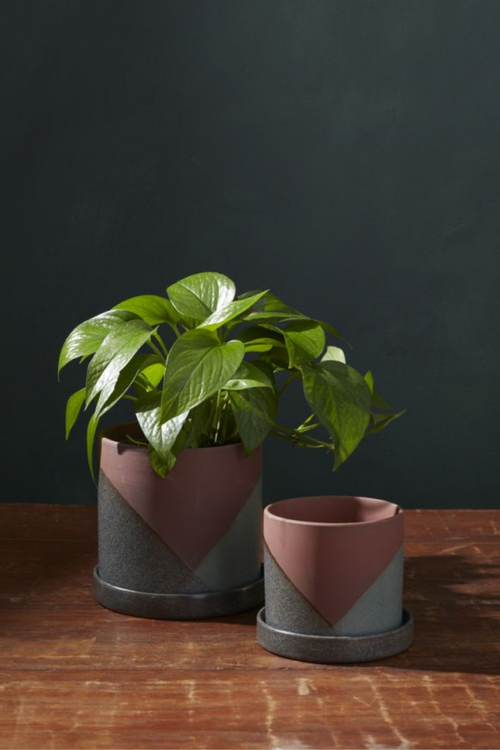 El Cerro Pot with Saucer