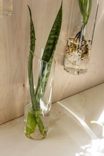 3 of 3:Leighton Glass Wall Vase