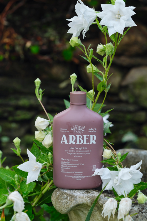 Arber Organic Bio Fungicide