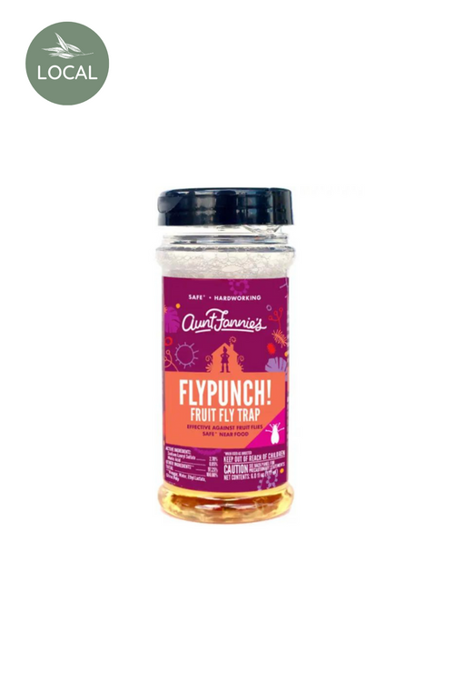 Fly Punch! Fruit Fly Trap