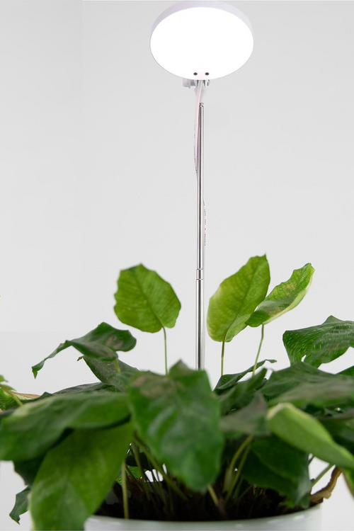 Mossify Adjustable LED Plant Grow Light