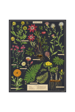 2 of 3:Herbarium Vintage Puzzle