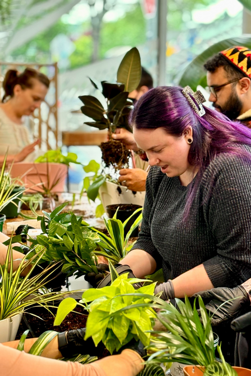 1-on-1 or Small Group Plant Workshops