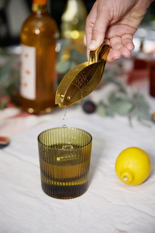 Scout Low Ball Glass Set