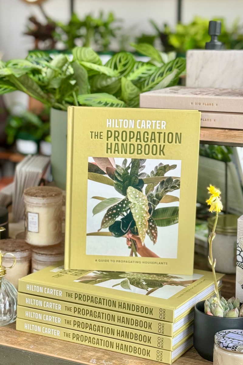Hilton-Carter-The-Propagation-Handbook