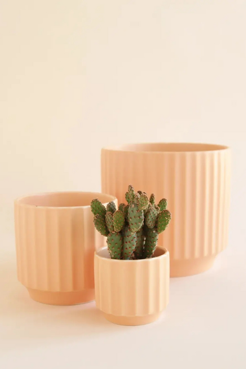 Monroe Pot in Sunset