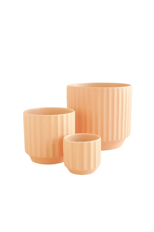 Monroe Pot in Sunset