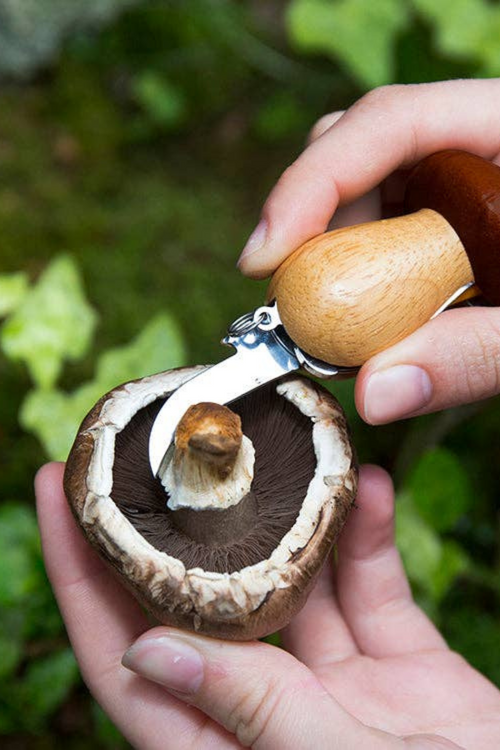 Mushroom Tool Keychain