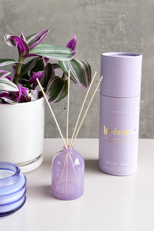 Paddywax Petite Diffuser