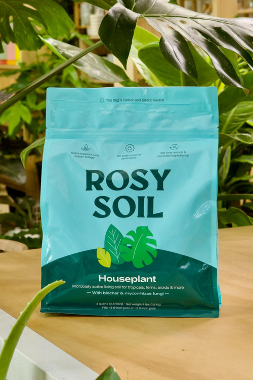 Rosy Soil Houseplant Soil