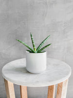 3 of 6:Kendall Pot in White
