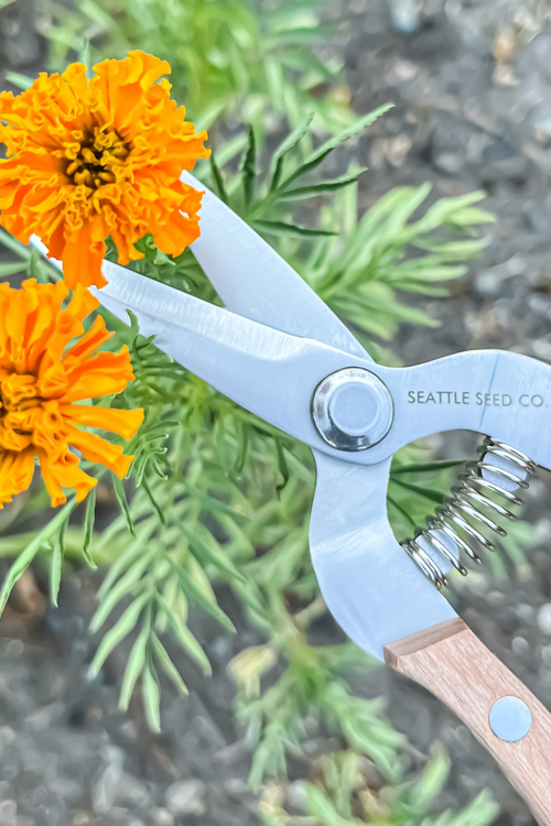 Wood-Handled Straight Shears