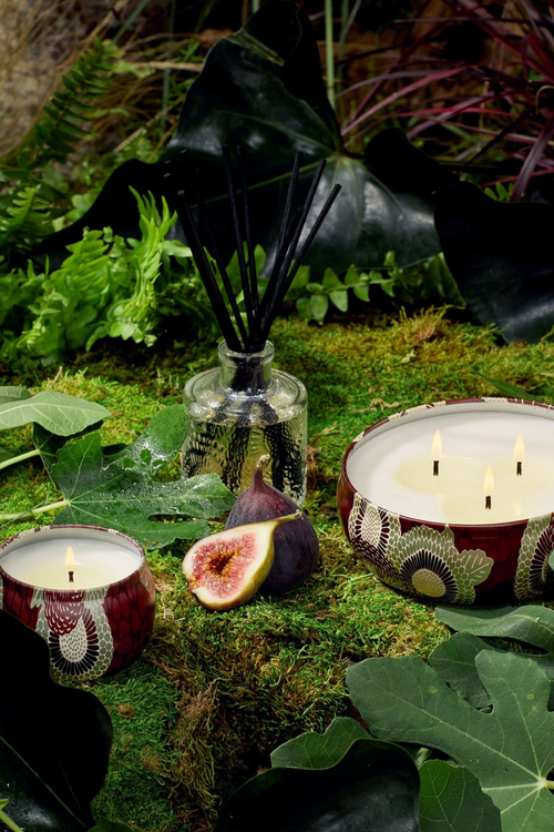 Forbidden Fig Tin Candle