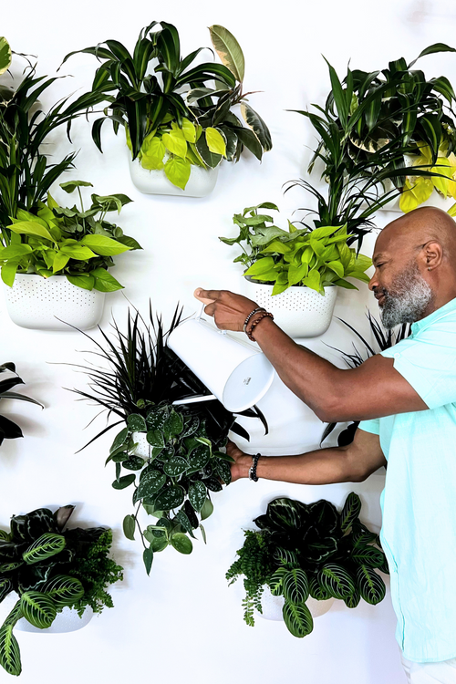 WallyGrow Eco Wall Planter