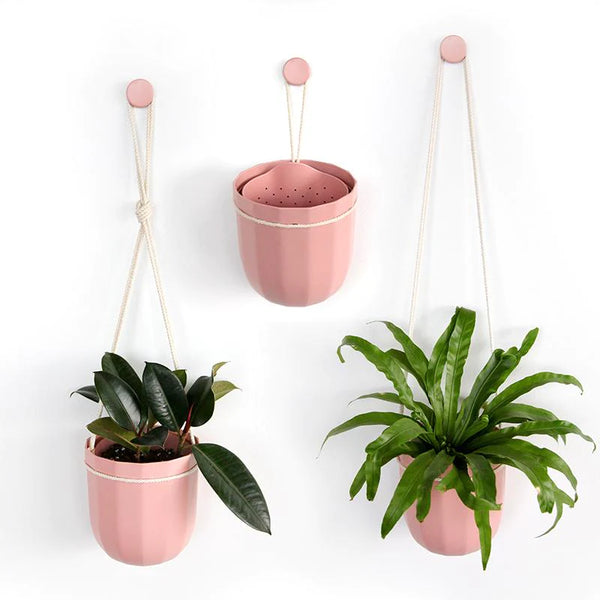 loop living plant hanger WallyGrow Loop Hanging Planter – ECOVIBE