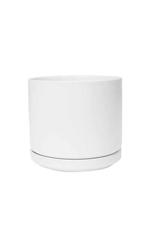 White Solid Goods Planter + Saucer