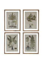 6 of 6:Botanical Framed Wall Print