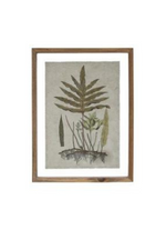 2 of 6:Botanical Framed Wall Print