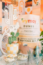 2 of 4:Dunes Cactus + Succulent Potting Mix