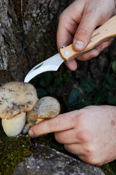 Mushroom Knife 