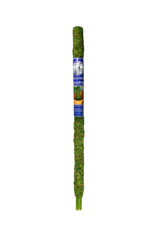 Supermoss Moss Pole
