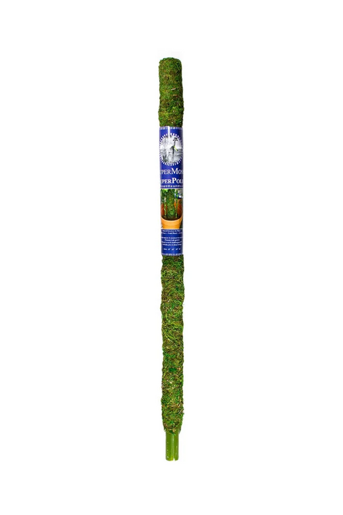 Moss Pole