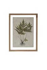 3 of 6:Botanical Framed Wall Print
