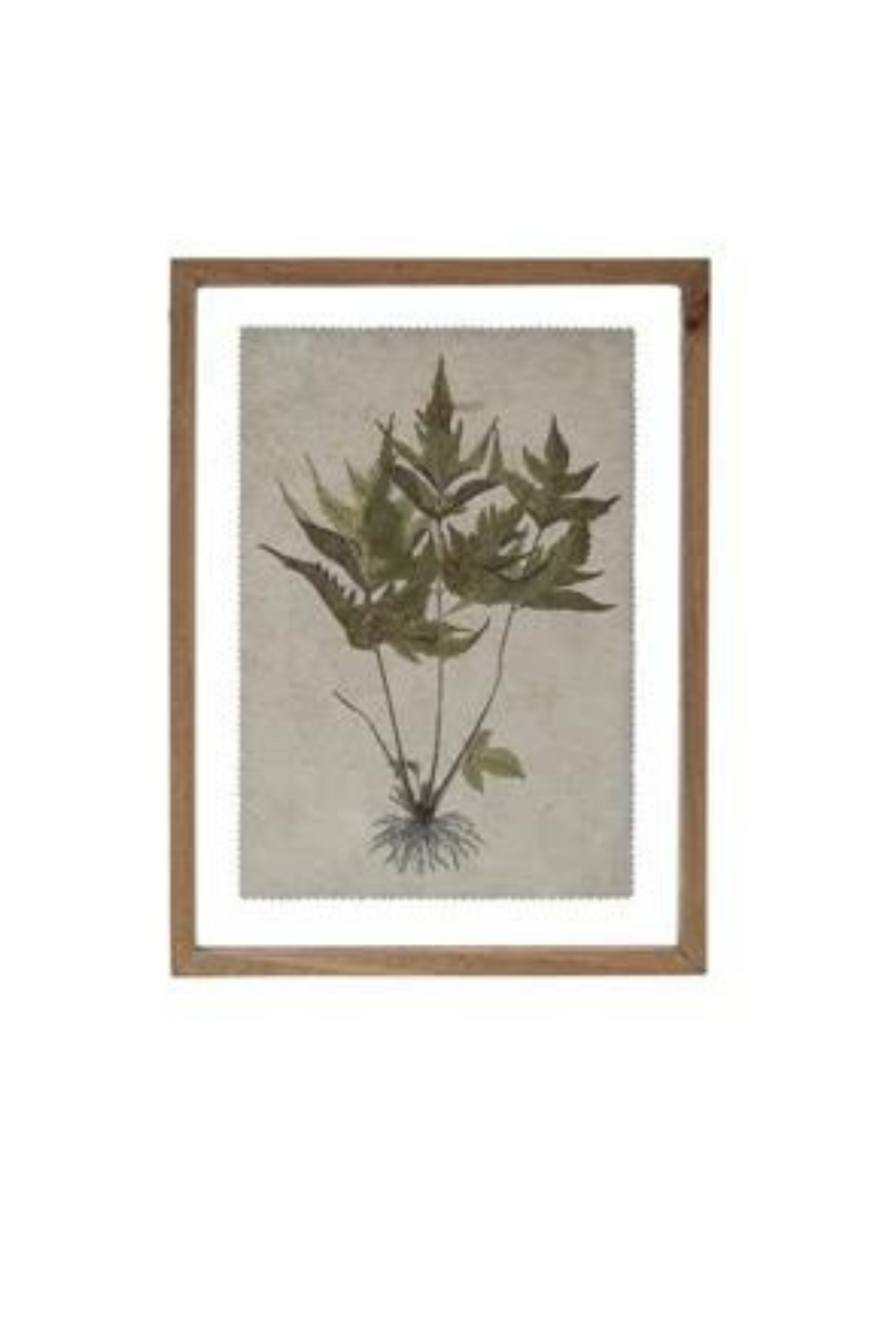 Creative Co-op Wood Framed Botanical Prints No.2