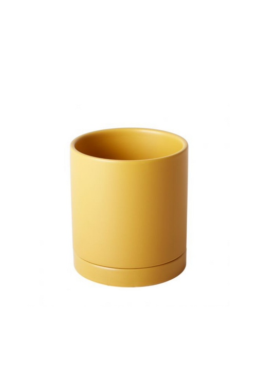 Romey Pot in Ochre