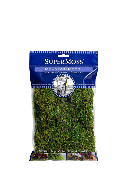 Mountain Moss Preserved, Fresh Green
