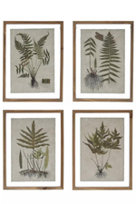 1 of 6:Botanical Framed Wall Print