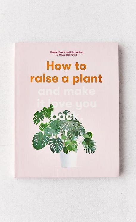 How to Raise a Plant and Make It Love You Back