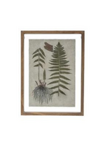 5 of 6:Botanical Framed Wall Print