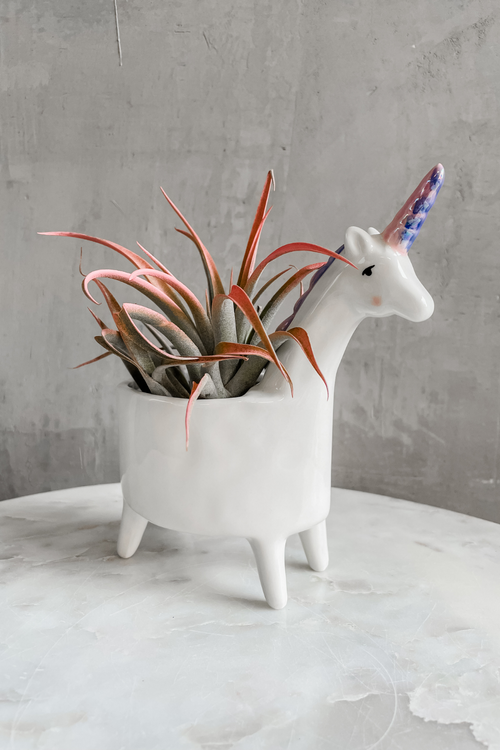 Lolly Unicorn Planter