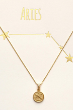 13 of 16:Tiny Zodiac Medallion Necklace