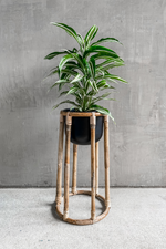 3 of 4:Boca Plant Stand