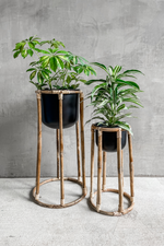 2 of 4:Boca Plant Stand