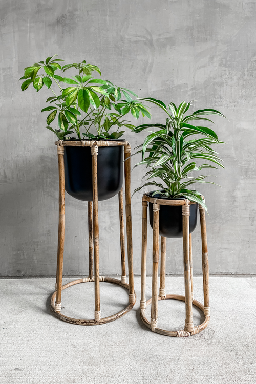 Boca Plant Stand