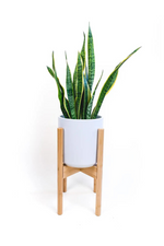 2 of 6:Natural Bamboo Adjustable Plant Stand