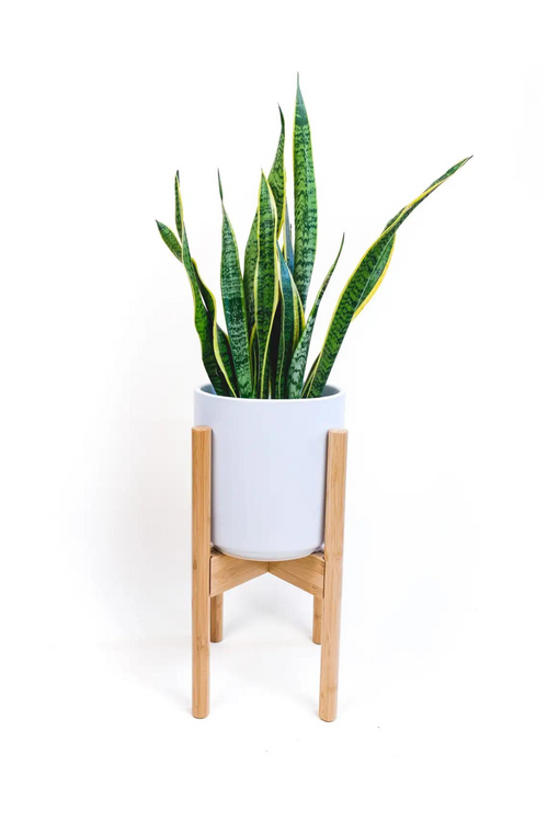 Natural Bamboo Adjustable Plant Stand