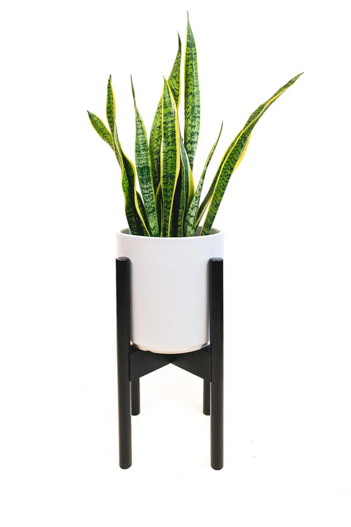Black Bamboo Adjustable Plant Stand