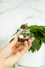 2 of 5:Mini Jar Terrarium