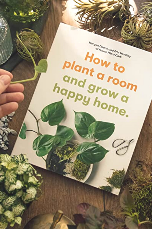 How to Plant a Room and Grow a Happy Home