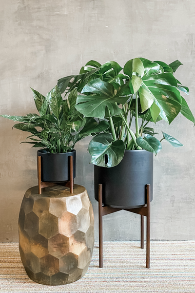 planter pots and stands Black Revival Ceramics Planter + Stand – ECOVIBE