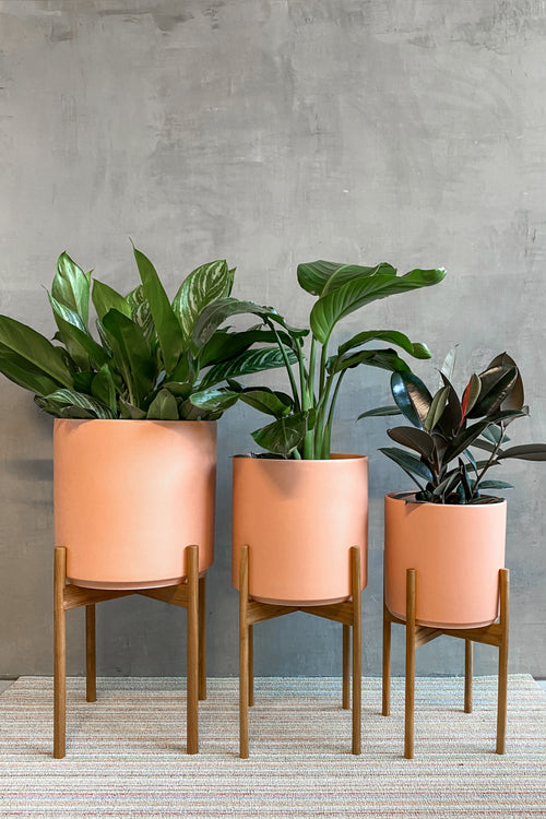 Peachycotta Revival Ceramics Planter + Stand