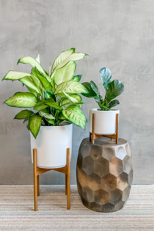 White Revival Ceramics Planter + Stand