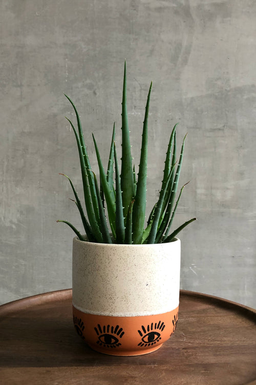 Ojo Pot