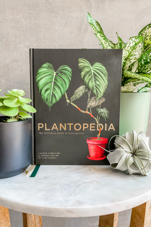 Plantopedia