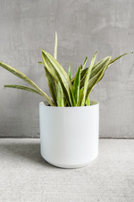 5 of 6:Kendall Pot in White
